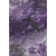 Premium Machine Washable Cerrito AMF590 Purple Rug