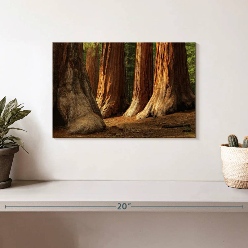 Harnek Ancient Sequoia Trees, 8" H x 12" W