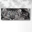 Snow Leopard Sanctuary - Photographie sur toile tendue-789369199