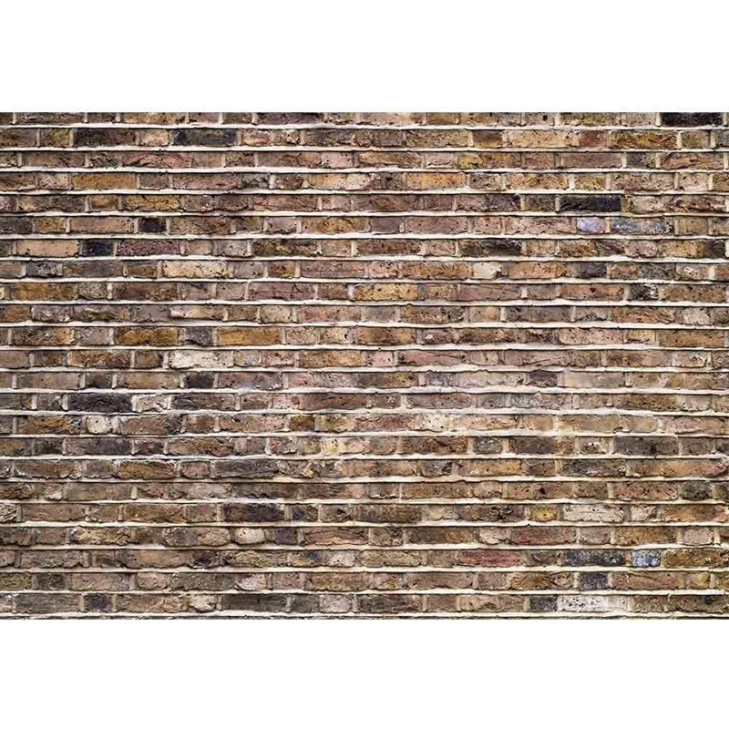 Murale à découper Fragment d'une vieille brique, L 100 po x l 144 po