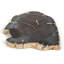 Petrified Stoneware Decorative Plate