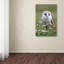 Ann «Owls», reproduction de photo sur toile tendue-24191196