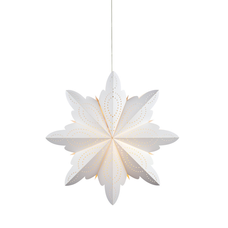 Alsjo 1 - Light Unique/Statement Pendant