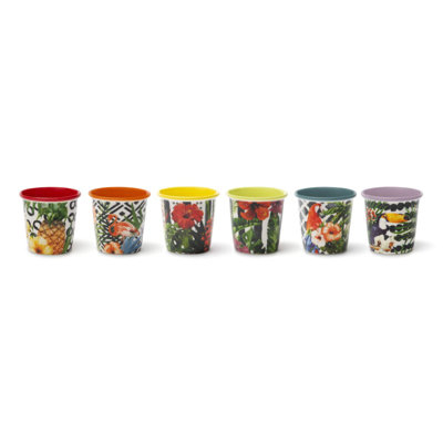 Excelsa set of 6 cups Tropical Chic porcelain 9 cl