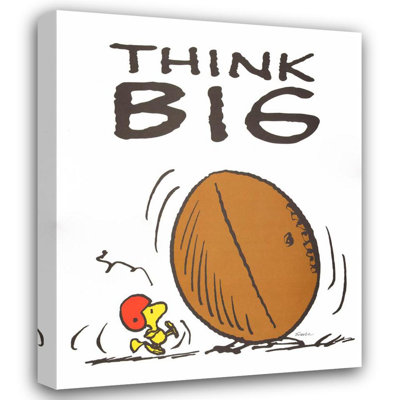 Think Big IMA-S834