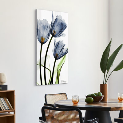 Three Blue Tulips by Albert Koetsier - Unframed Photograph on Glass