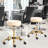Adjustable Salon Stool-631019092