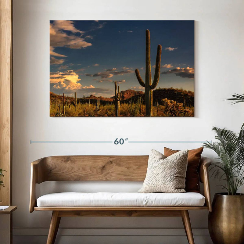 Cactus Harnek Tucson, H 32 po x l 48 po
