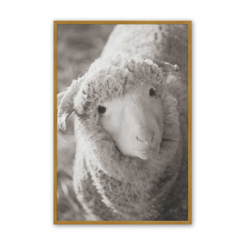 «Barn Buddy IV» par Deborah Revell, reproduction d'art, H 18 po x l 12 po, Doré