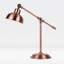 Larosa Metal Table Lamp-1274866854
