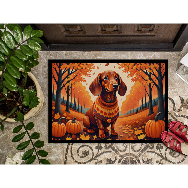 Tapis d'entrée antidérapant pour l'extérieur Novell Dachshund, L 24 po x L 36 po