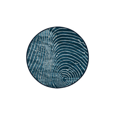 Machine Washable Blue Area Rug