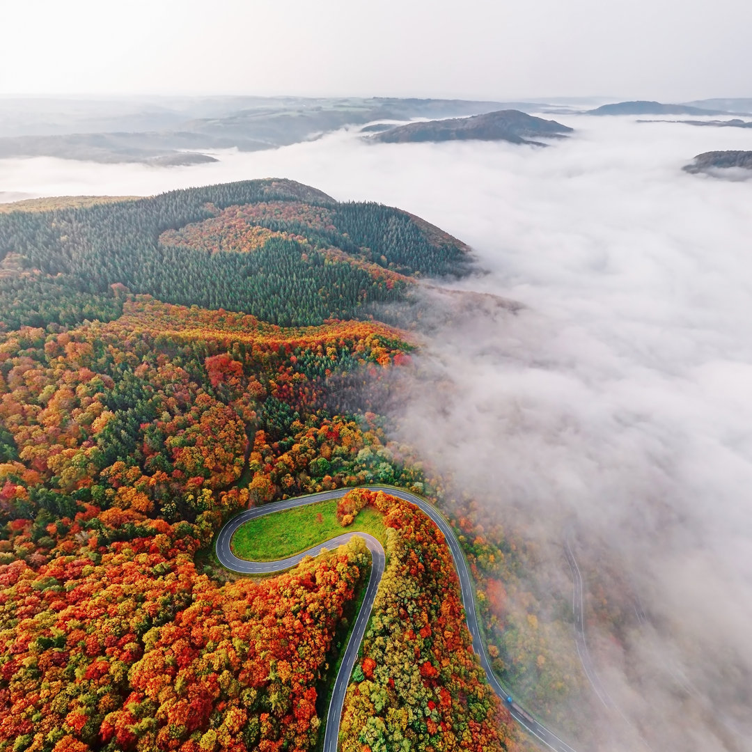 Luftaufnahme des Herbstwaldes - Druck