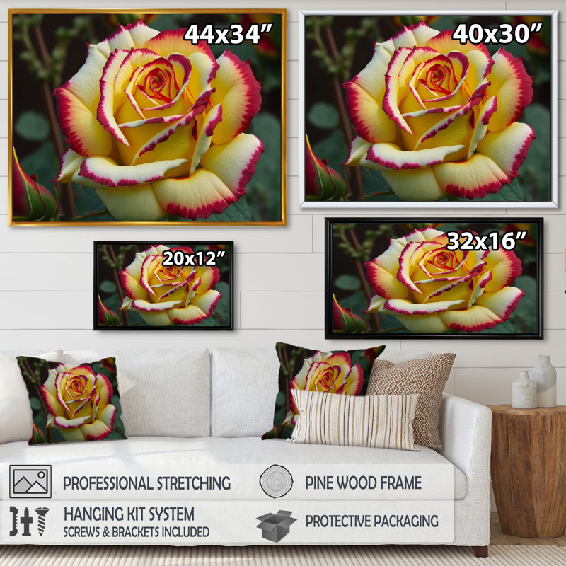 «Red and Yellow Blossoming Spring Rose I», reproduction sur toile, H 34 po x l 44 po x P 1,5 po, Cadre flottant doré