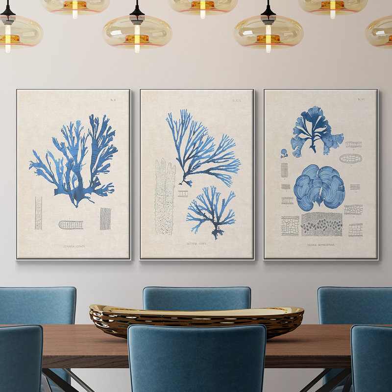 Blue Marine Algae IV - Ensemble de 3 reproductions encadrées sur toile, H 36 po x l 72 po x P 2 po, Blanc