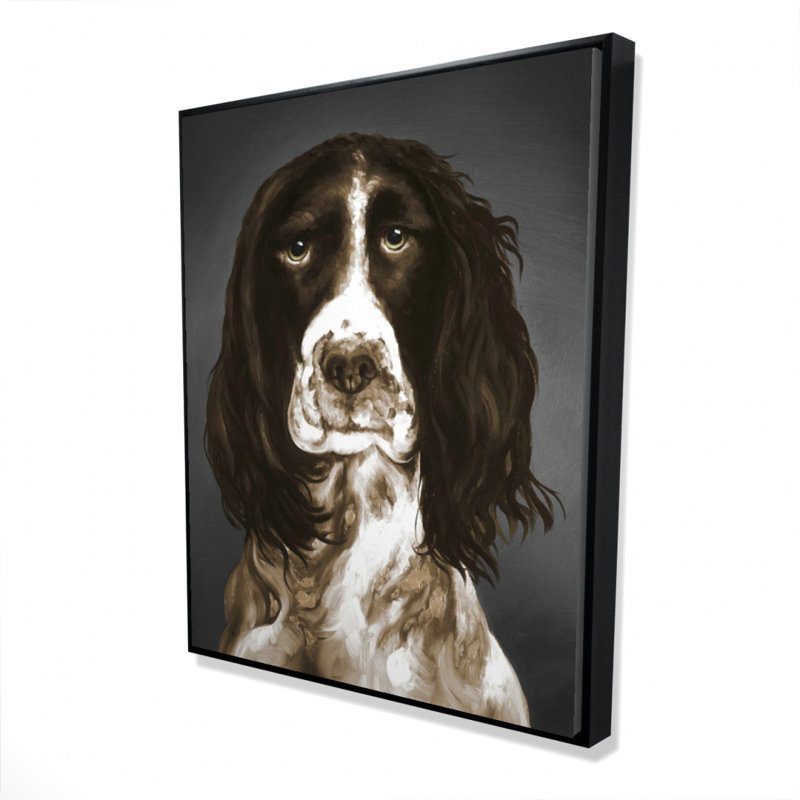 " Brown English Springer Spaniel "