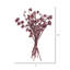 13'' Branch-115063899