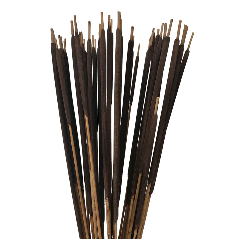 Tige d'herbe Flournoy, Cannelle