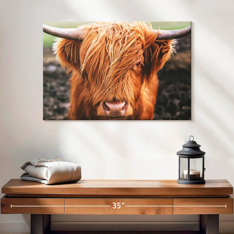 Frange Brampt Highland Cow, H 16 po x l 24 po