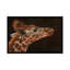 « giraffe portrait i », impression sur toile-33109342-72410622-72410623