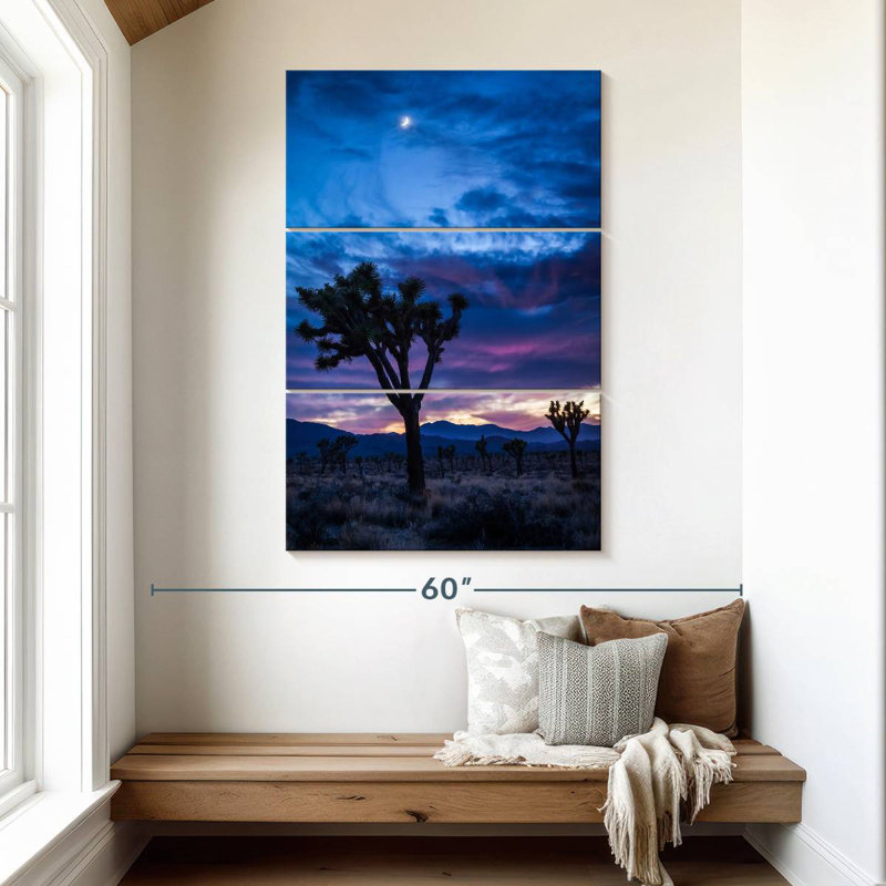 Nicci Joshua Tree Park la nuit, H 50 po x l 32 po