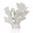 Blanc est en rupture de stock