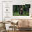 Bears In Forest-107469897