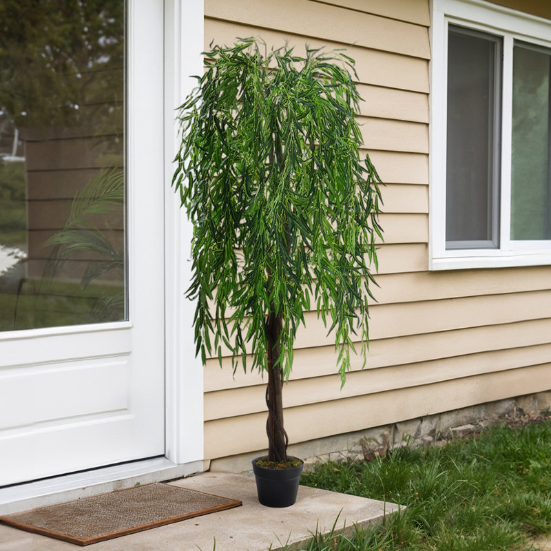 195cm Plant