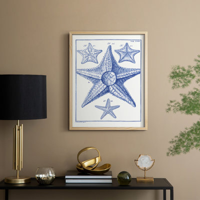 Blue Sea Stars VI, reproduction encadrée - bois massif
