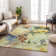 Machine Washable Indoor/Outdoor Houtz ACN2264 Floral Rug