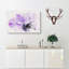 Purple Anemone Flower Watercolour - Wrapped Canvas-56663787