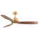 Ballog 52'' Ceiling Fan with LED Lights