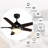 52'' Ceiling Fan with LED Lights