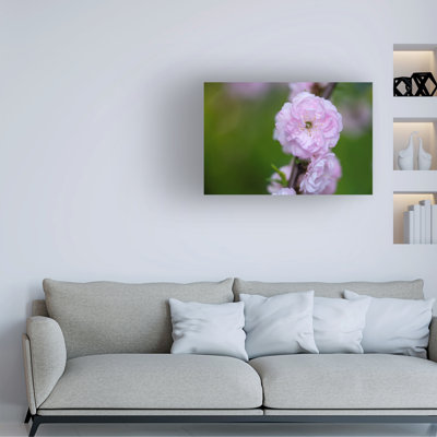 Art sur toile, Suzanne Bonin
