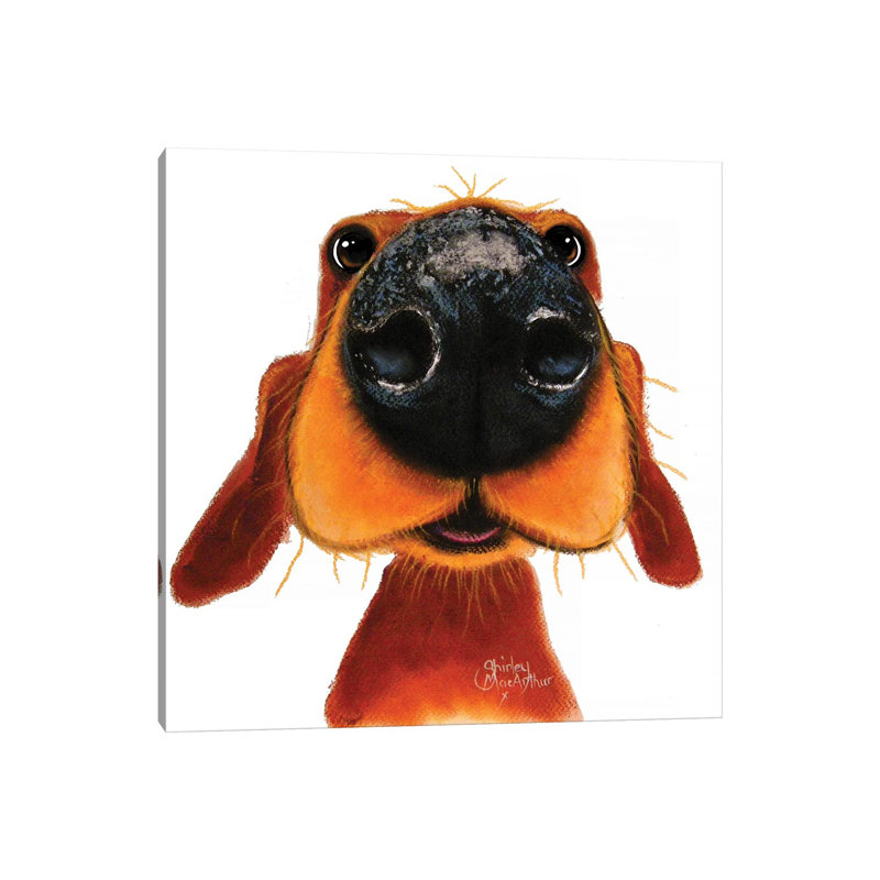 Nosey Nando by Shirley Macarthur - Gallery-Wrapped Canvas Giclée on Canvas, 30.48 cm H x 30.48 cm W, Canvas