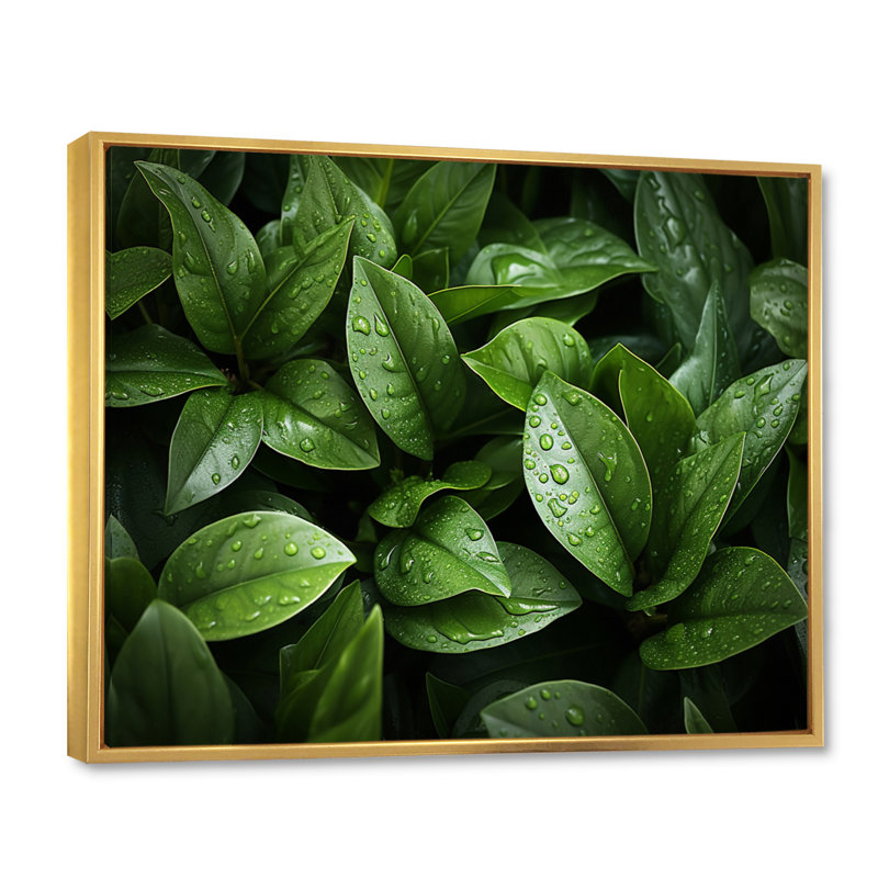 Champ de plantes vertes sur toile, Cadre flottant doré, H 16 po x l 32 po x P 1 po