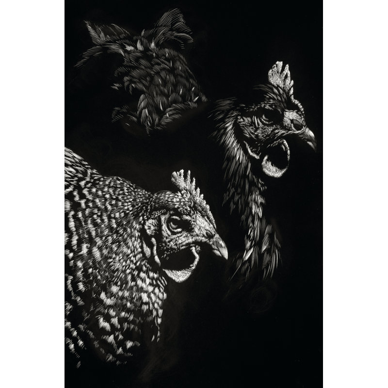 Scratchboard Skeptics - Wrapped Canvas Print, 46cm H x 30cm W x 3.8cm D