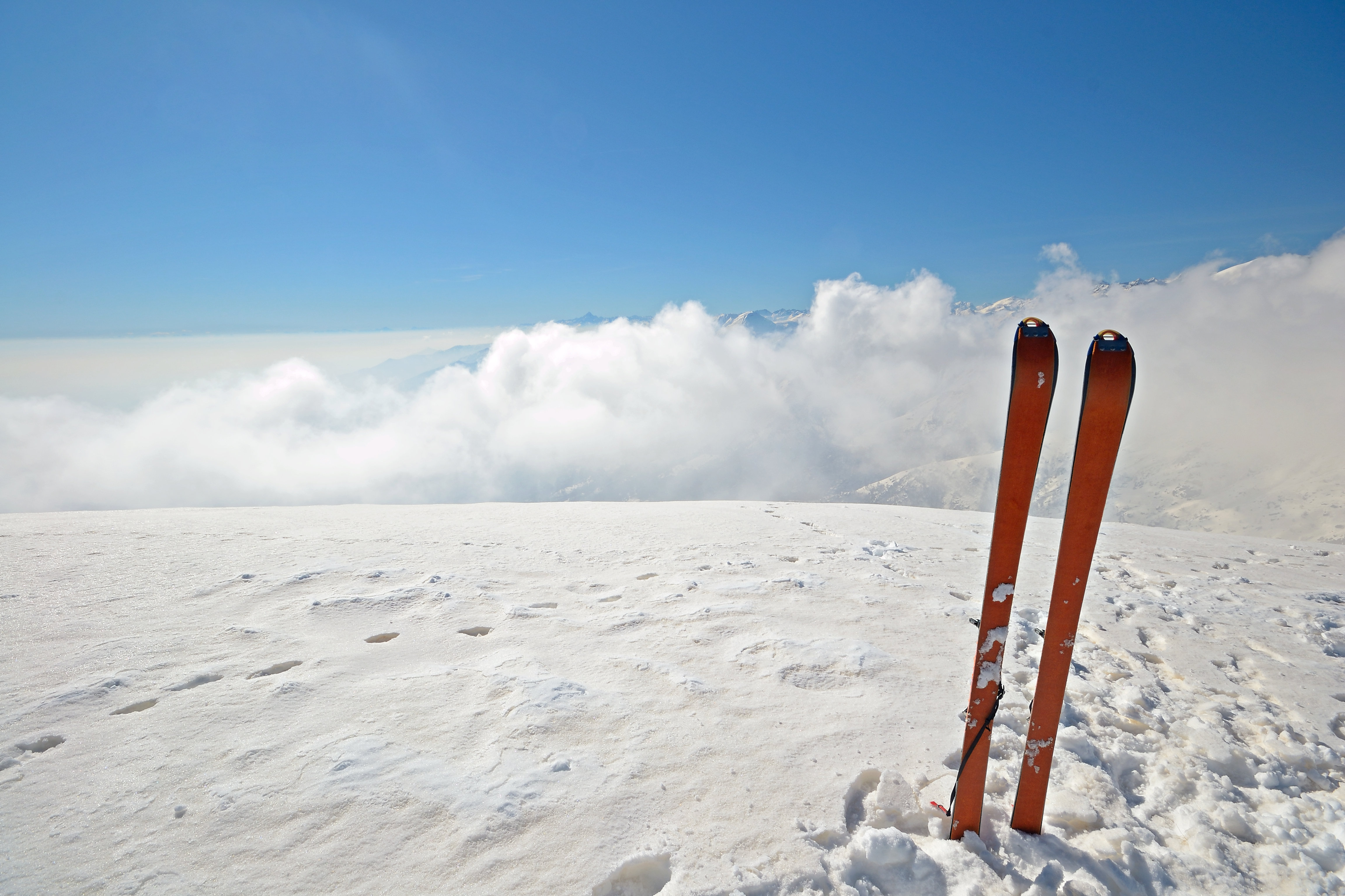 Ebern Designs Ski Touring Equipment On Canvas by Fbxx Print Wayfair