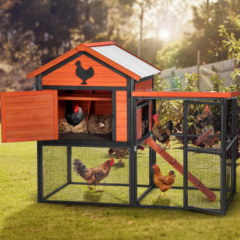 Poulailler durable et spacieux avec des caractéristiques avancées pour les poules heureuses, Orange