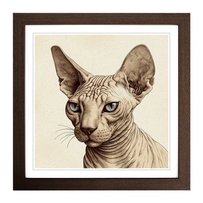 Sphynx Cat Drawing - Framed Print