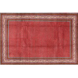 Oriental Indoor Rug