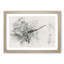 Perched Dragonfly - Framed Print-56851631-56851633
