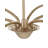 Lardner 6 Light Chandelier