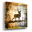 «High Country Deer» par Lightbox Journal-153411305