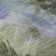 Premium Machine Washable Northdale AMF1487 Floral Rug