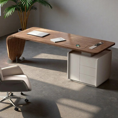 Bureau de luxe de style moderne