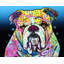 Art sur toile de la collection Dean Russo de Red Barrel Studio®: The Bulldog-1437215001