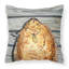  Coussin Fish Flounder