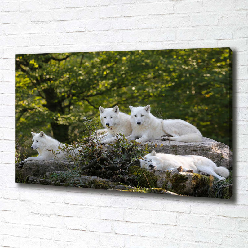 White Wolves Rock - Wrapped Canvas Print