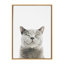 «Sourire chat» par Amy Peterson, reproduction d'art sur toile encadrée-1623096698-1734545013
